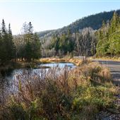 La rivière Nouvelle