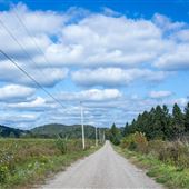 #18219 Ferme Campbell - champs
