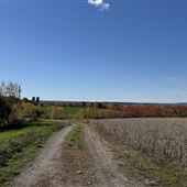 #18481 Maison Lauzon