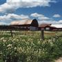 Rural