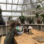 GREENHOUSE / VERRE