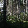#18221 Canyon