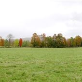Ferme Bachelder