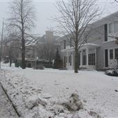 Avenue Charles-Fitzpatrick