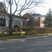 Avenue Dobie