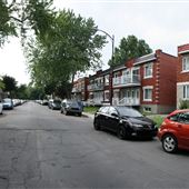 Rue Stephens