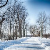 Parc Joseph-Laberge