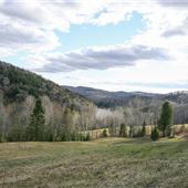 #16643 Terrains des frères Provost