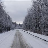 paysages Lac Brome