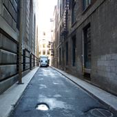 Rue Dollard
