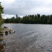 #15173 Lac des Cyprès (Lac Forbes)