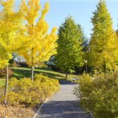 Arboretum du Domaine Maizerets