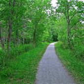 Lac Brome walking path