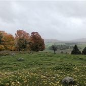 #17494 Paysages Harrington
