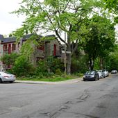Avenue Willowdale