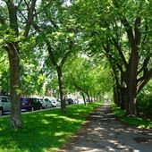 Parc Notre-Dame-de-Grâce