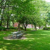 Parc Connaught