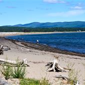 Bord de mer - Douglastown