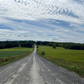 route de la colline brown