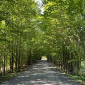 Chemin Bowen