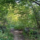 Réserve naturelle des Montagnes Vertes