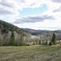#16643 Terrains des frères Provost
