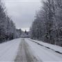 paysages Lac Brome
