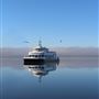 Bateau