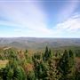 #16726 Ziptreck