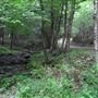 forets de Lac Brome