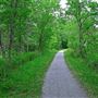 Lac Brome walking path