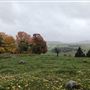 #17494 Paysages Harrington
