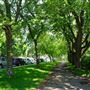 Parc Notre-Dame-de-Grâce