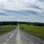 route de la colline brown