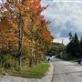 Fitch Bay