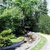 Parc King George
