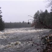 L'île-du-Grand-Calumet