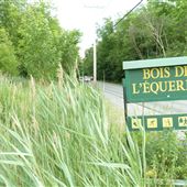Corporation pour la mise en valeur du Bois de l'Équerre
