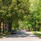 Rues quartier Montcalm - Divers