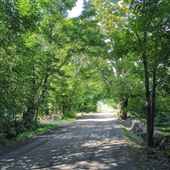 brome route campagne