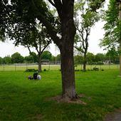 Parc Beaubien