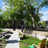 Parc Médéric-Martin