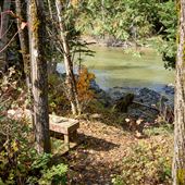 La Petite rivière Cascapédia