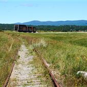 Pont ferroviaire dit de Douglastown