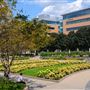Jardin Jean-Paul-L'Allier