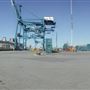 Empire Stevedoring
