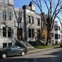 Avenue Elm