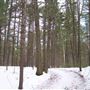 #1874 Parc national d'Oka