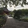 Jardin Botanique - Jardin de Chine