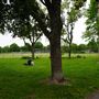 Parc Beaubien